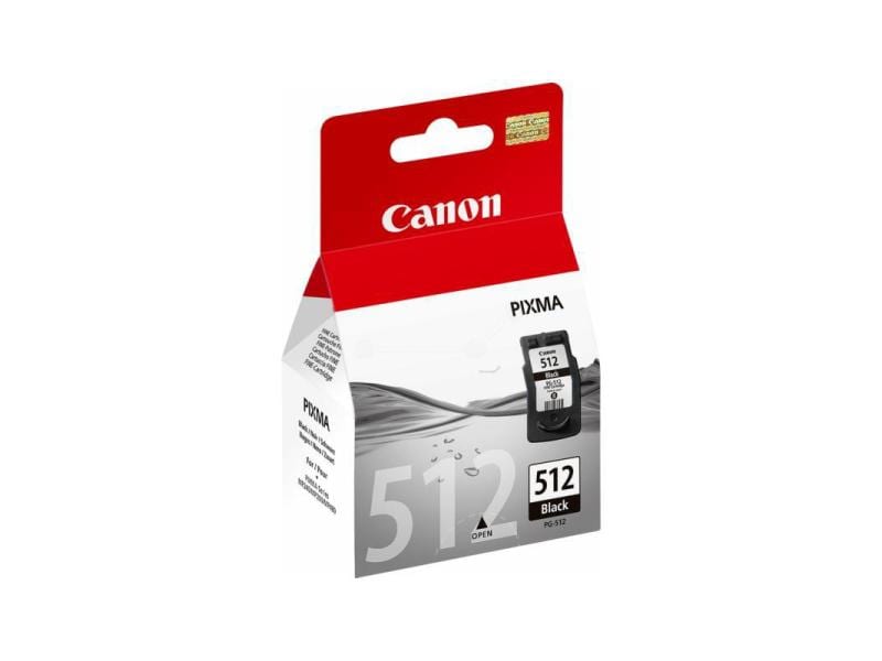 Canon Encre PG-512 / 2969B001 noir