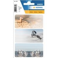 Herma Stickers Étiquettes scolaires Chevaux
