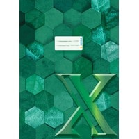 HERMA Protège-cahier X A4 vert foncé