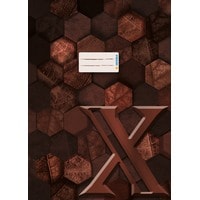 HERMA Protège-cahier X A4 Marron